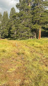 84K views · 1.3K reactions | Right across from the Tuolumne Meadows...