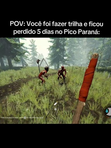 Sobrevivência no Pico Paraná: O Que Aconteceu?