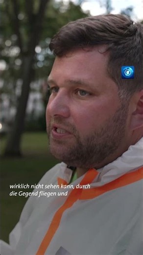 Eichenprozessionsspinner: Giftige Raupen befallen Bäume