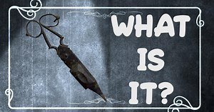 What is it?:S01 E02: What is it? Season 2021 Episode 2