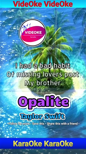 VideOke / KaraOke on TikTok