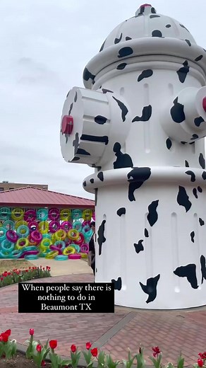 You might not know of all of these fun things to do in Beaumont, Texas & City of Orange, Texas - Government including: -Visiting the tallest working fire hydrant from Disney for 101 Dalmatians -Kayaking though Big Thicket National Preserve -Visiting Fire Museum of Texas -Yoga at Cattail Marsh Wetlands Education Center -Explore an old Western town Spindletop-Gladys City Boomtown -Go on a Cajun food tour -Canoe on the Bayou -Camp at Village Creek State Park - Texas Parks and Wildlife -See the Shan