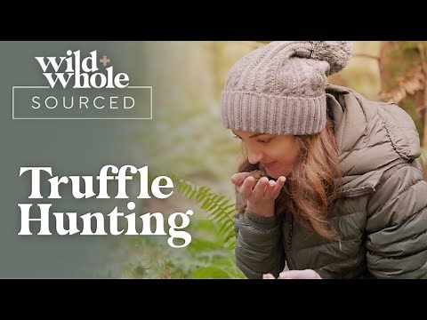 Truffle Hunting | Wild + Whole Sourced