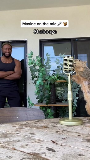 Maxine went nuts #rapping #shabooyarollcall #animal #foryoupage