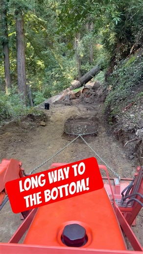 Building a new logging road #logging #tractor #kubota
