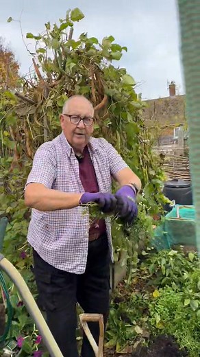 Let’s talk about Chickweed  | Home & Garden | Facebook