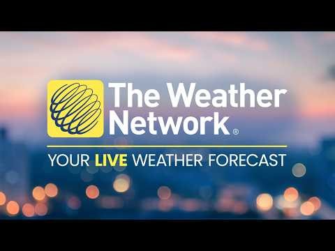 Watch The Weather Network Live: Stay updated on national weather stories and local forecasts