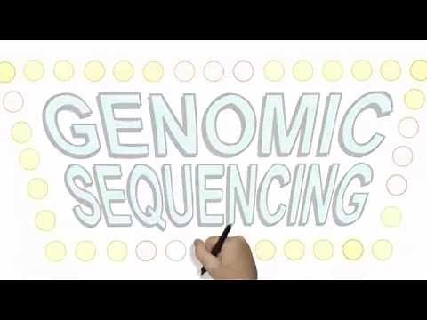 Genomic Sequencing 101: Pros, Cons, and Implications for You and Your Family