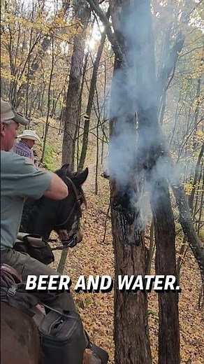 Why is this tree smoking? 😮🤔 - 🎥 Viralhog