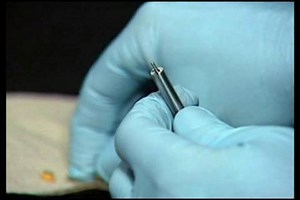 Seal Pack Rebuild/Needle Replacement - Waters Videos