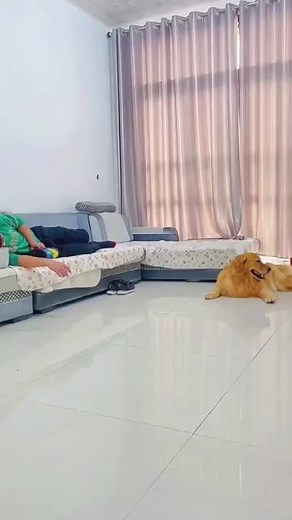 ahhhhh🤣🤣😂#dog #foryou #funnyvideo