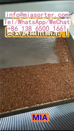 Reliable Supplier Of Industrial Camera Sensor Control System Color Sorting Machine Manufacturer Chin