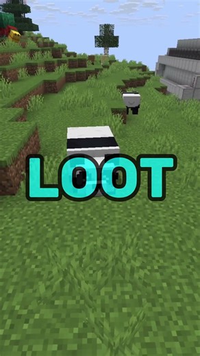 Oso Polar VS Panda🐼