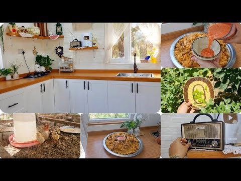 يومياتي 🏡صار عدنا 🥹🐣 وستلمتهن جوجه 😅نضفت المطبخ خليته يلمع✨️واكيد ويه احلى ذكريات الراديو