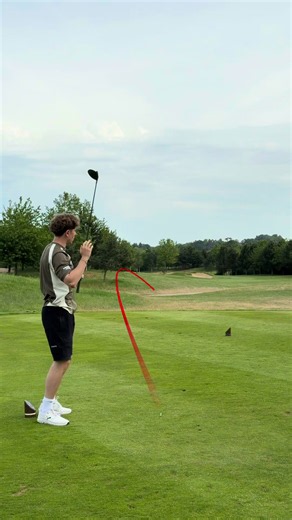 Close Call at Tee: Almost Hit Geese, Survived a 10 on Par 4