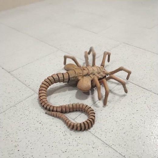 I made a walking Facehugger! #alien #alienromulus #alienearth #giger #ridleyscott #3dprinting