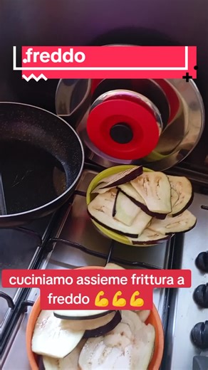 Frittura a Freddo con Coperchio Magic Cooker