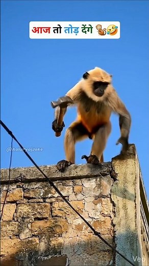 आज तो तोड़ देंगे 😂🤣 #शॉर्ट्स #viralvideo #thetharpuns #aalupyajjoke #desicomedy #comedyvideos