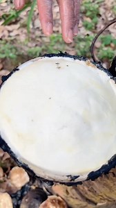 Extracting natural rubber from the rubber tree 🌳 👀 📌Follow us: @inspirgreen ____________ ❤️Double Tap If You Like This 🔔Turn On Post Notifications 🏷️Tag Your Friends _____________ #RubberTree #NaturalRubber #LatexExtraction #EcoSatisfying #NatureIsSatisfying #RubberPlant #NatureASMR #SatisfyingVideo #PlantLover #OddlySatisfying #Nature #Forest #OutdoorLife #GreenLiving #explorenature #inspirgreen | Inspirgreen