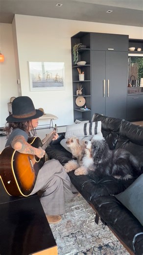 I mean come on! #beautiful #dog #newmusic | Linda Perry