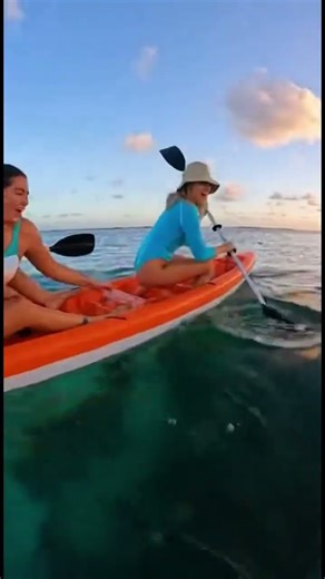 Kayak FLIPS, Then THIS Happens! 🤯🐬 #DolphinEncounter #KayakingFail #Unexpected.file