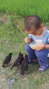 Wow So cute😍 children feeding little Baby Birds. | Amazing World
