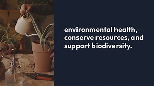 How to Create a Sustainable Outdoor Garden