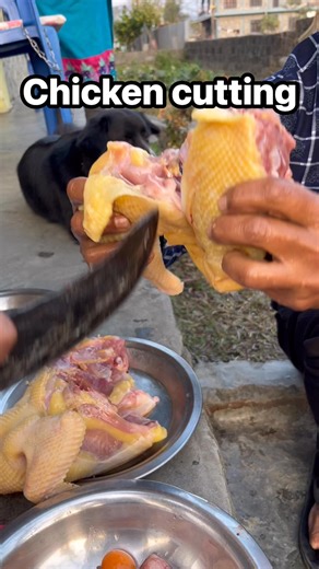 Chicken cutting techniques #chicken | Troll n Entertain everyone