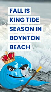 7.8K views · 46 reactions | Fall is King Tide season in South...