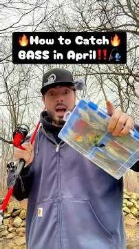 How to CATCH Bass in the SPRING‼️🎣