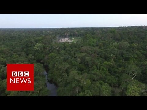 The tribe standing up to illegal Amazon loggers in Brazil - BBC News