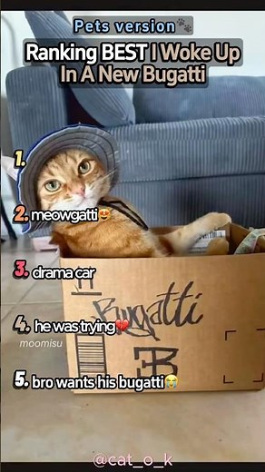 Ranking BEST I Woke Up In A New Bugatti PETS 🚗💨 #iwokeupinanewbugatti