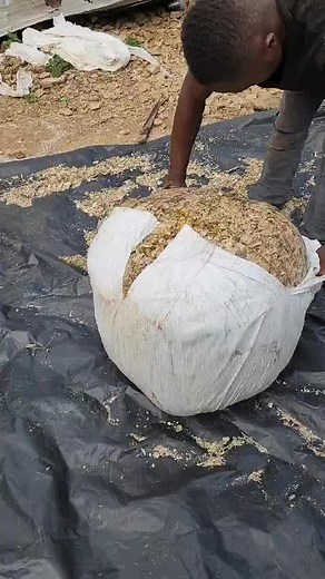 MT KENYA FODDER SOLUTIONS LTD on TikTok