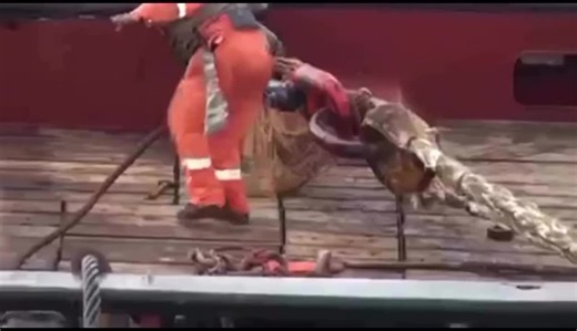 Mooring Safety: 7 Precautions to Prevent Accidents | Akhil Prathap posted on the topic | LinkedIn