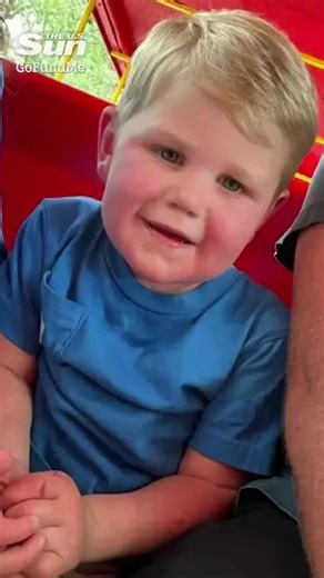 4.8K views · 82 reactions | Boy, 2, fights for life after being stung by wasp 150 times | The US Sun - News | Facebook