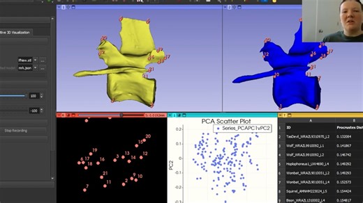 Geometric Morphometrics with Slicermorph