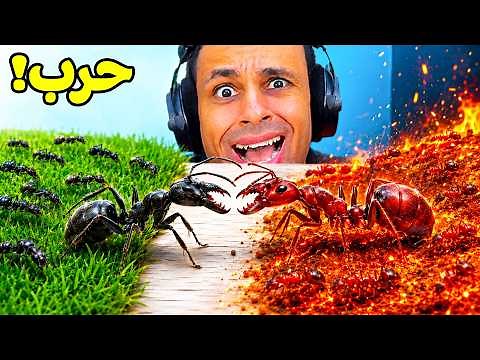 بناء مستعمرة النمل | Pocket Ants: Colony Simulator !! 🐜🕳️