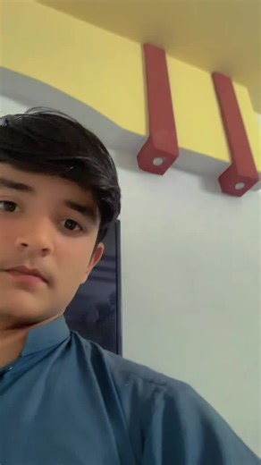 Understanding TikTok Viewer Problems