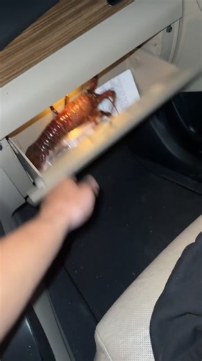 Was gonna let em drive but they started actin up again… | driving