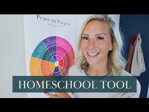 How To Use The Feelings Wheel