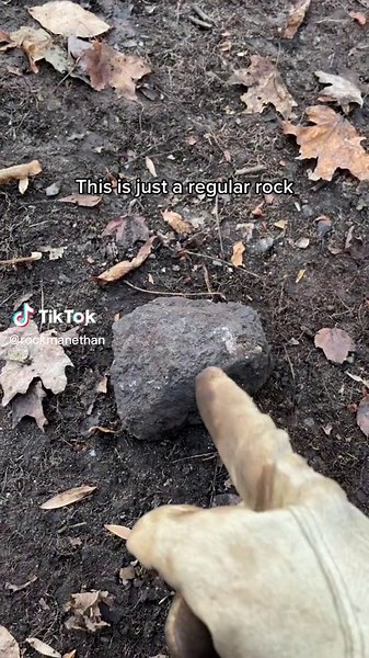 Exploring the Intriguing World of Rocks and Minerals