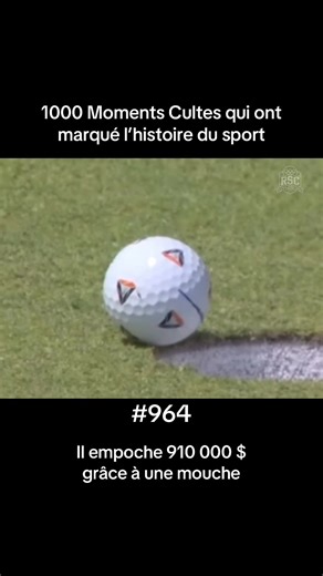 17 Aout 2025 - BMW Championship, Caves Valley Golf Club Ce jour là, lors du dernier tour du BMW, le golfeur anglais Tommy Fleetwood a vu sa balle s’arrêter au bord du trou. Alors qu’il croyait avoir raté son coup, c’est une mouche qui l’a sauvé ! Avec ce birdy, Tommy Fleetwood a gagné un rang au classement final, terminant en quatrième position à égalité avec Sam Burns et empoche 910 000 dollars.. Si le Britannique avait terminé au 6eme rang, il n'aurait gagné que 709 000 dollars soit 201 000 do