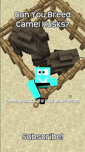 Can You Breed Camel Husks In Minecraft?!