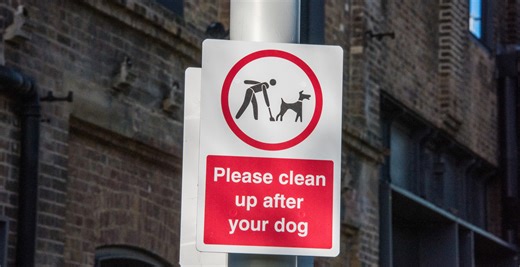 Apartment Complex Conducts DNA Testing To See Who Keeps Leaving Dog Poop On Property