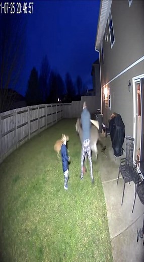 CCTV Footage 🫏😱 Donkey Charges Child in Backyard — Parent Rushes to Stop It! #CCTV #DonkeyAttack #CaughtOnCamera #BackyardFootage #WildlifeEncounter #SecurityFootage #RealFootage #HeroicMoment #ParentSavesChild #CloseCall | CCTV zone