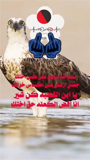 好的。 🇨🇳 保护 TikTok 视频免受封禁的官方协议 (简体中文) 你所寻找的“保护代码”实际上是 字节跳动/TikTok 社区指导方针 (ByteDance/TikTok Community Guidelines) 的严格遵守协议。这是确保内容安全的唯一“官方”且强大的方法。 🛡️ TikTok 内容安全协议 (TikTok Content Safety Protocol) | 行动（实际的“代码”） | 目标（保护作用） | 官方参考 (公司名称) | |---|---|---| | 1. 严格遵守社区指导方针 | 保护账户免受即时删除和永久封禁。 | 字节跳动社区指导方针 (ByteDance Community Guidelines) | | 2. 内容原创性和知识产权 | 避免因侵犯版权或未经充分修改重复发布他人内容而导致视频被移除。 版权政策 (TikTok Copyright Policy) | | 3. 避免限制性或灰色内容 | 确保视频不会被推入“内容限制模式” (Restricted Mode)，保证内容能触达普通大众。 限制模式过滤 (TikTok Re