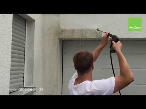 Fassadenreinigung / Algenentfernung von AlgoClean