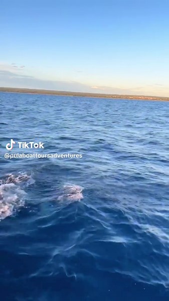Pula boat tours-adventures on TikTok