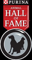 Akita dogs and breeders in Canada - CanaDogs