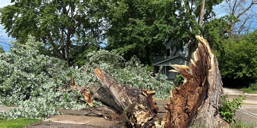 Storm damage seen across northeast Wisconsin, blocking roads